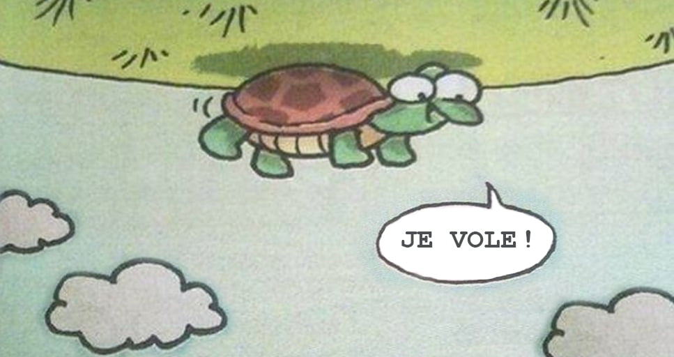 Je vole!