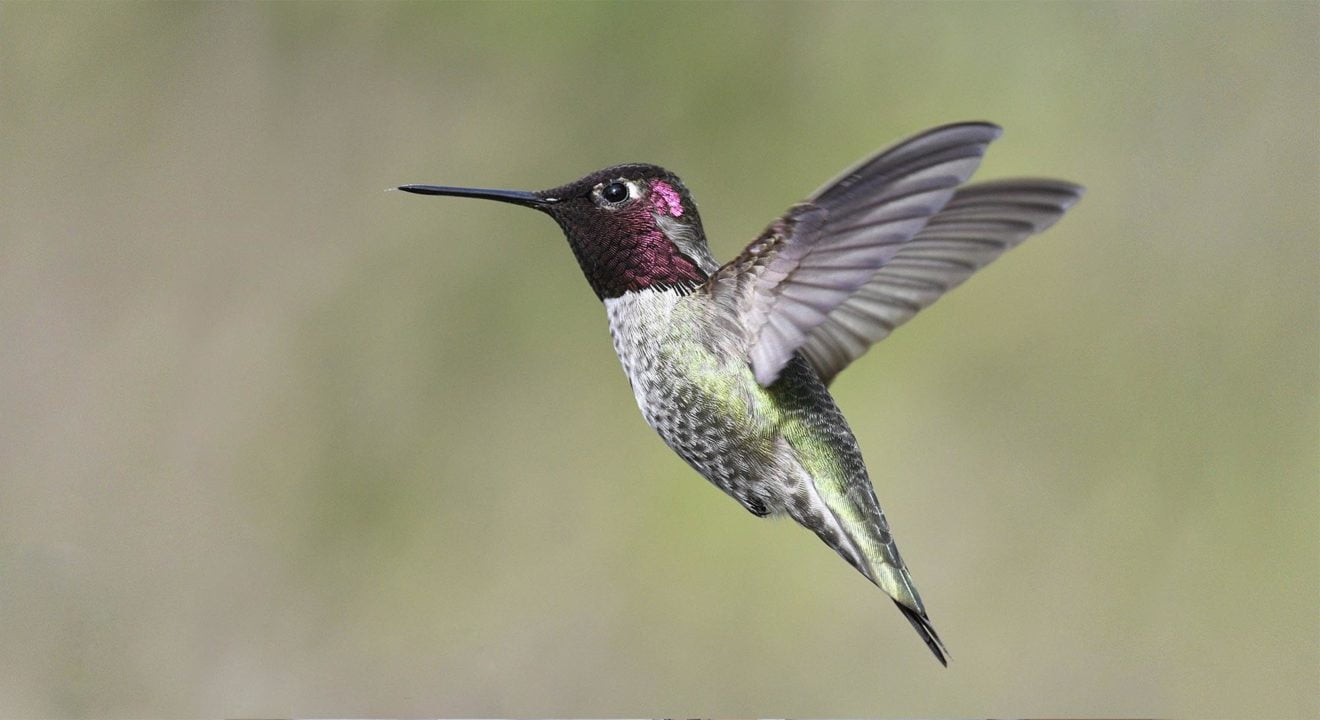 Laisser sa trace, faire bouger les lignes