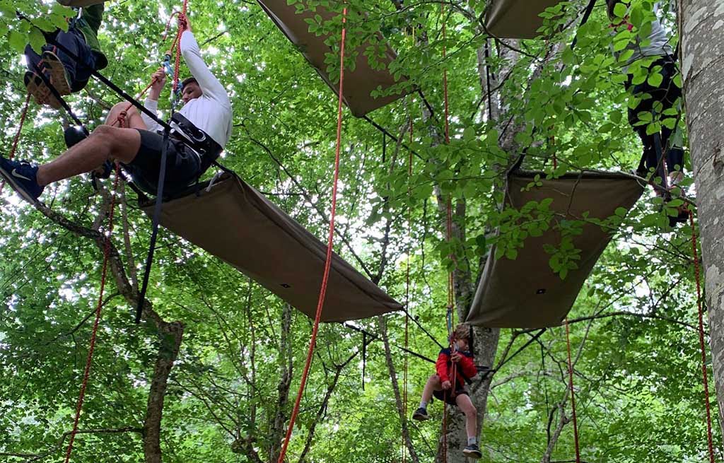 Mirapicien, voyager dans les arbres