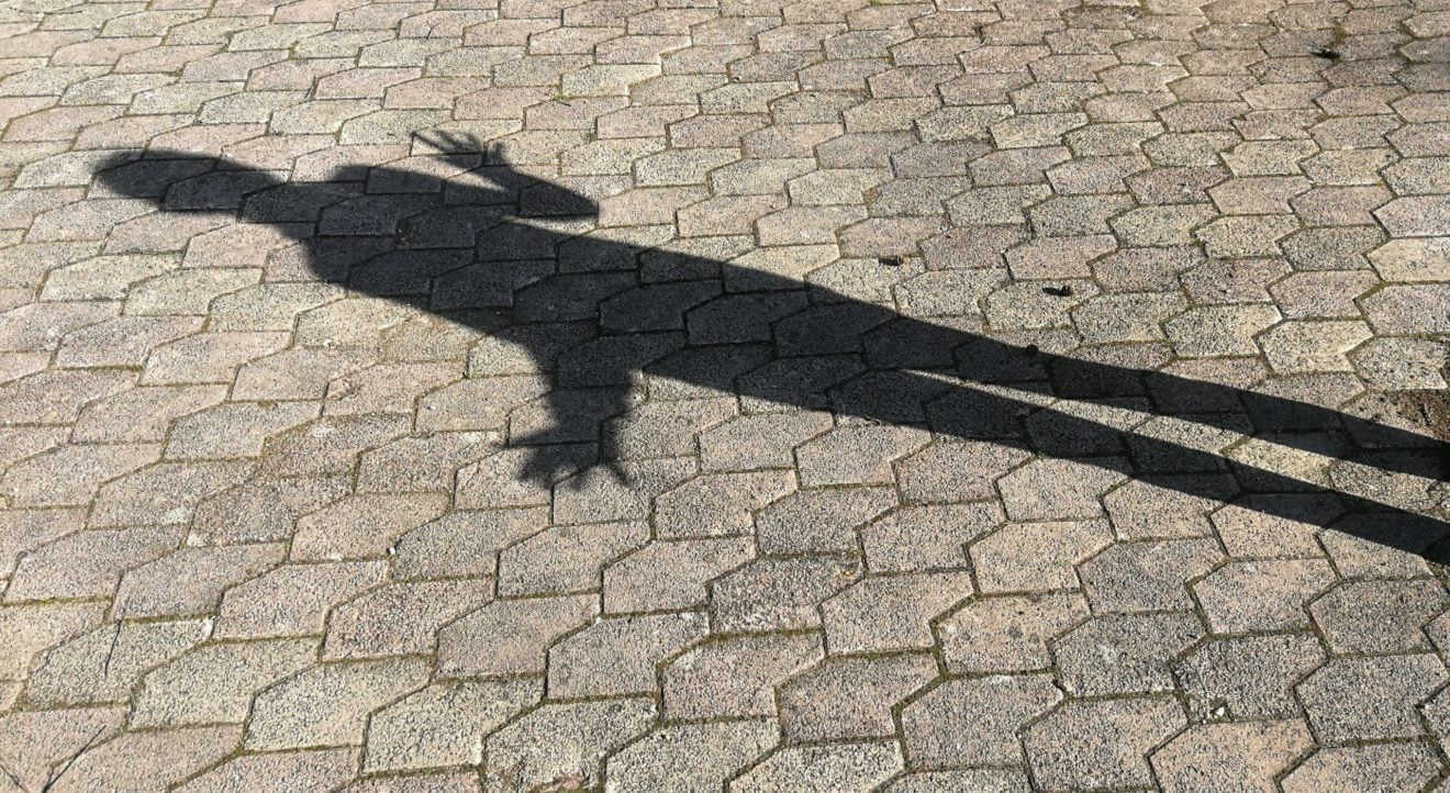 Le portrait du mois…mais qui est-ce ?
