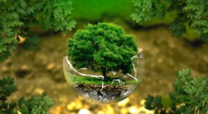 A Pamiers : Les arbres sont le poumon de la terre !
