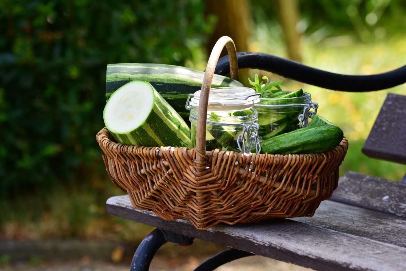 Une cantine en circuit court avec « Courgette et salsifis »