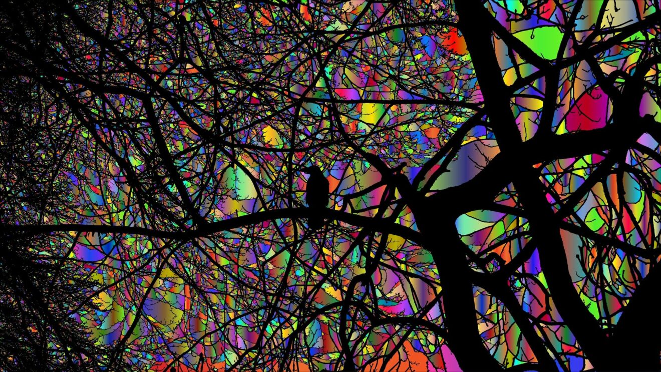 Fête de la nature avec le RESEd'A