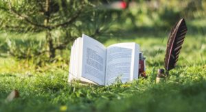 Édito de novembre : Pour une société éduquée et consciente