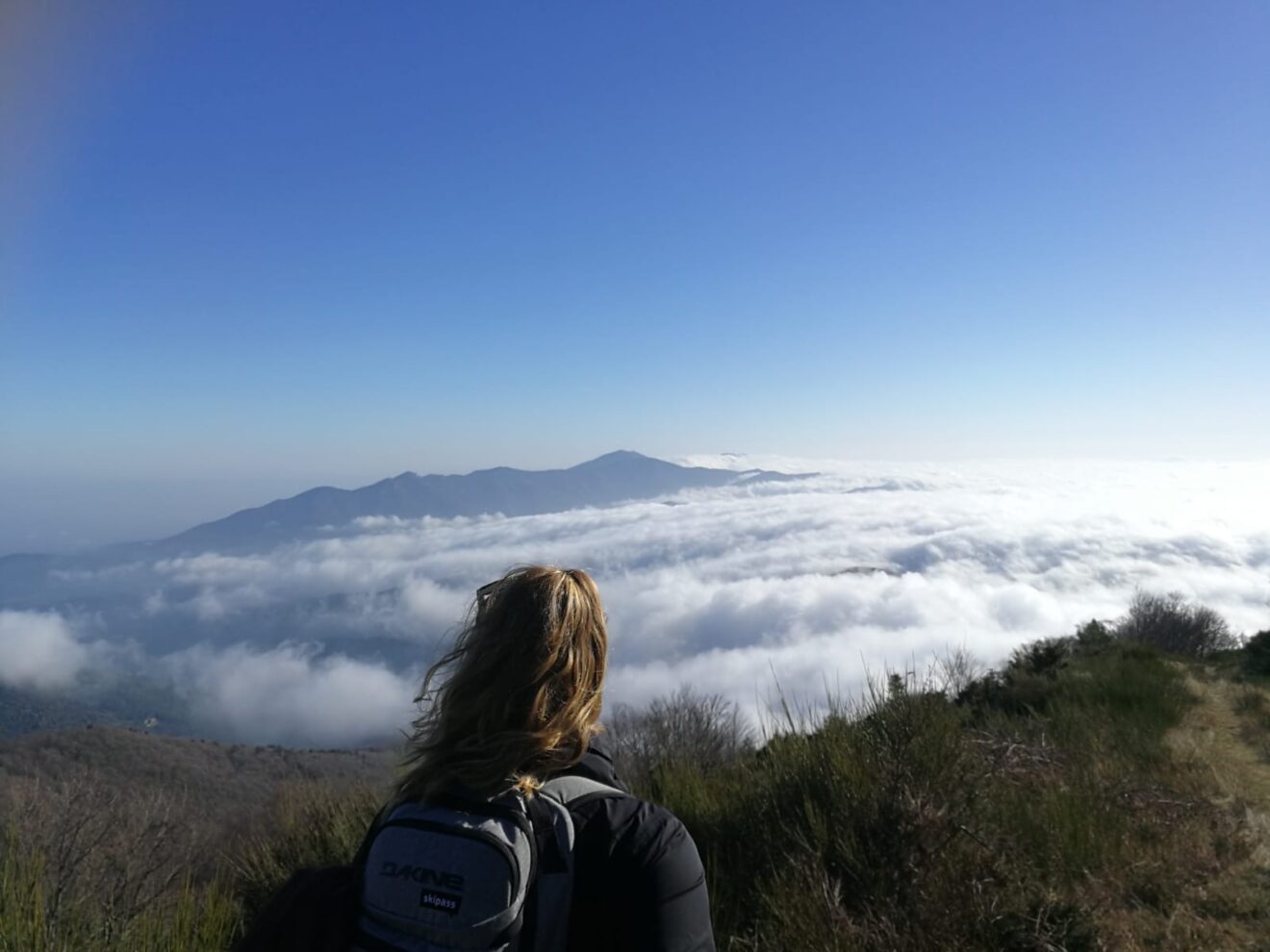Portrait du mois : Camille Lefebvre, des compétences plurielles